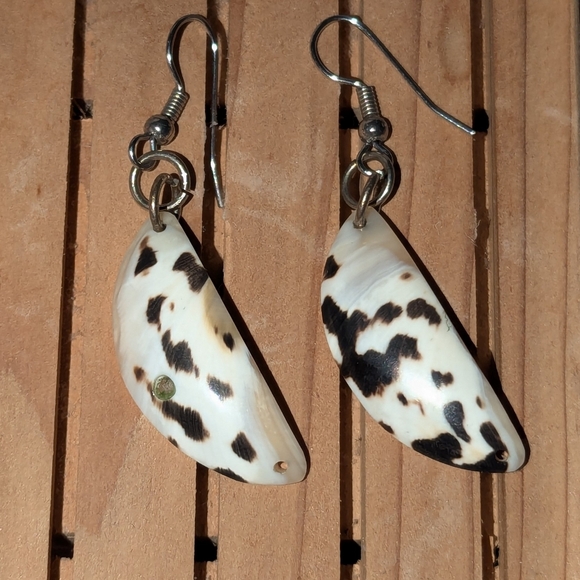 West Indian Magpie shell earrings - handmade in the Caribbean - Picture 3 of 14